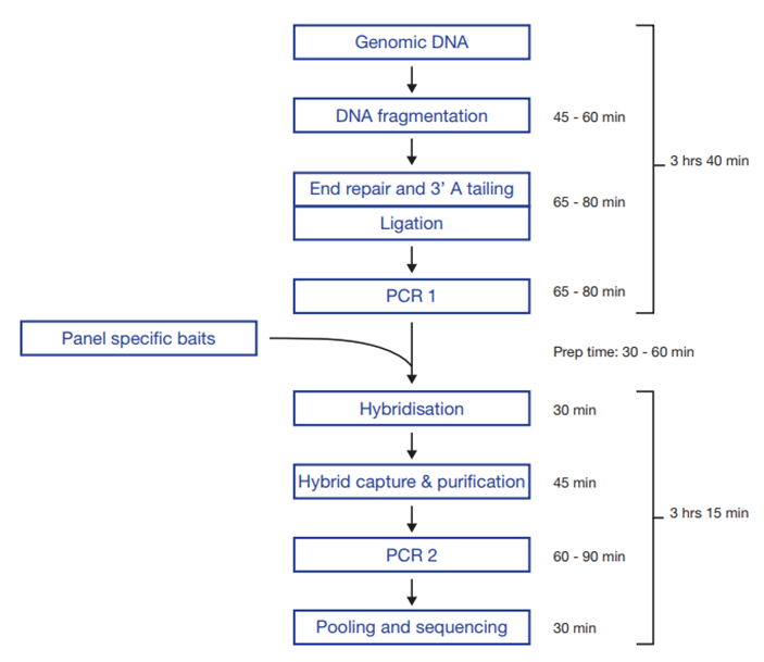 Figure 1 Workflow of SureSeq NGS library preparation, from DNA to sequencer.