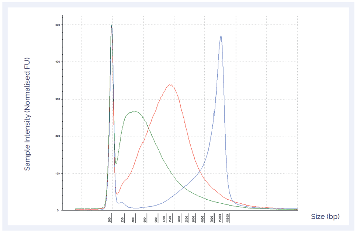 Figure 2: DNA length distribution and DIN can give an indication of the level of DNA damage in a sample.