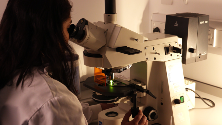 CytoCell haematology FISH protocol - Counterstain and analysis (2 minutes) Image