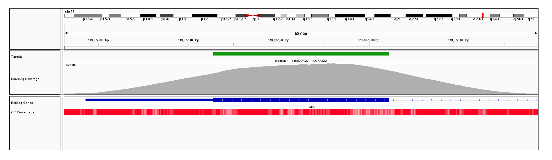 CBL Exon 1 (hg19 chr11:119076986-119077322). Depth of coverage per base (grey). Targeted region (green). Gene coding region as defined by RefSeq (blue). GC percentage (red). Image