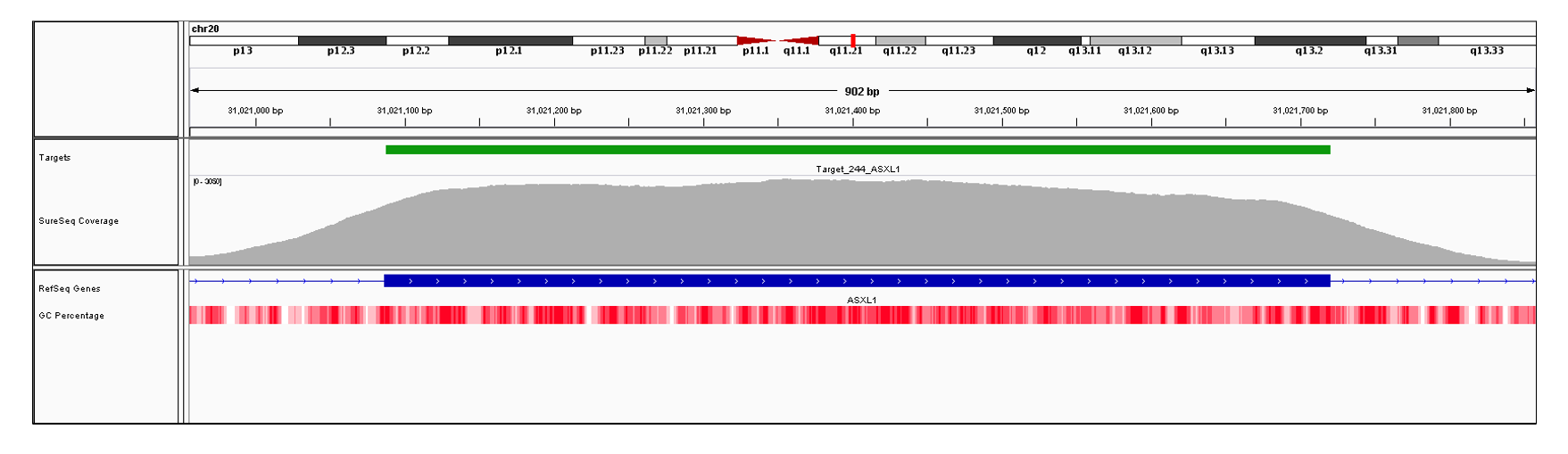 ASXL1 Exon 11 (hg19 chr20:31021087-31021720). Depth of coverage per base (grey). Targeted region (green). Gene coding region as defined by RefSeq (blue). GC percentage (red). Image