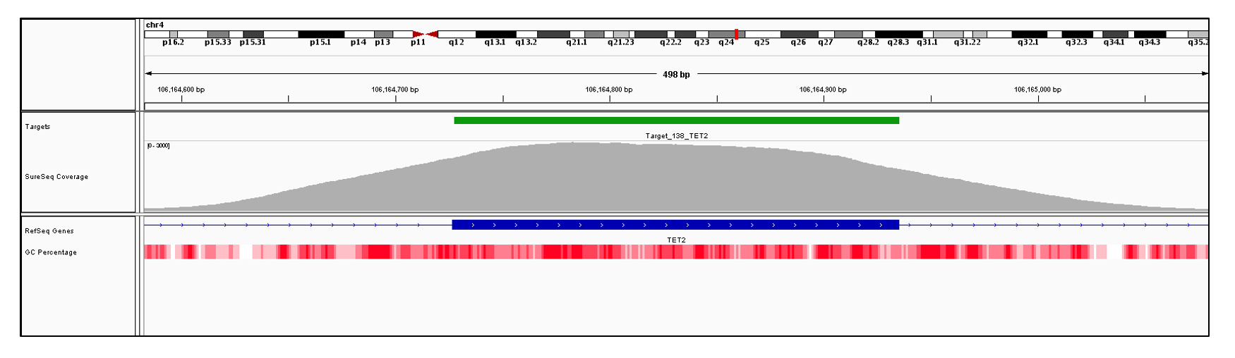 TET2 Exon 6 (hg19 chr4:106164727-106164935). Depth of coverage per base (grey). Targeted region (green). Gene coding region as defined by RefSeq (blue). GC percentage (red). Image