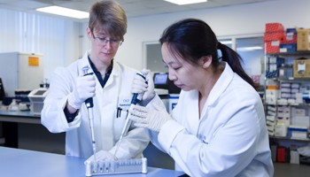 NGS Scientists Pipetting