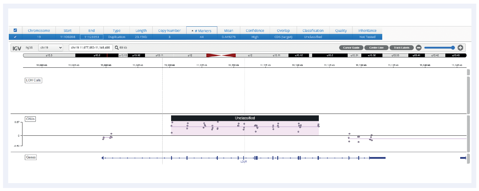 Figure 3: Duplication on the LDLR gene, as visualised by Interpret software.