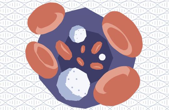 SureSeq, your complete Myeloid NGS portfolio Image