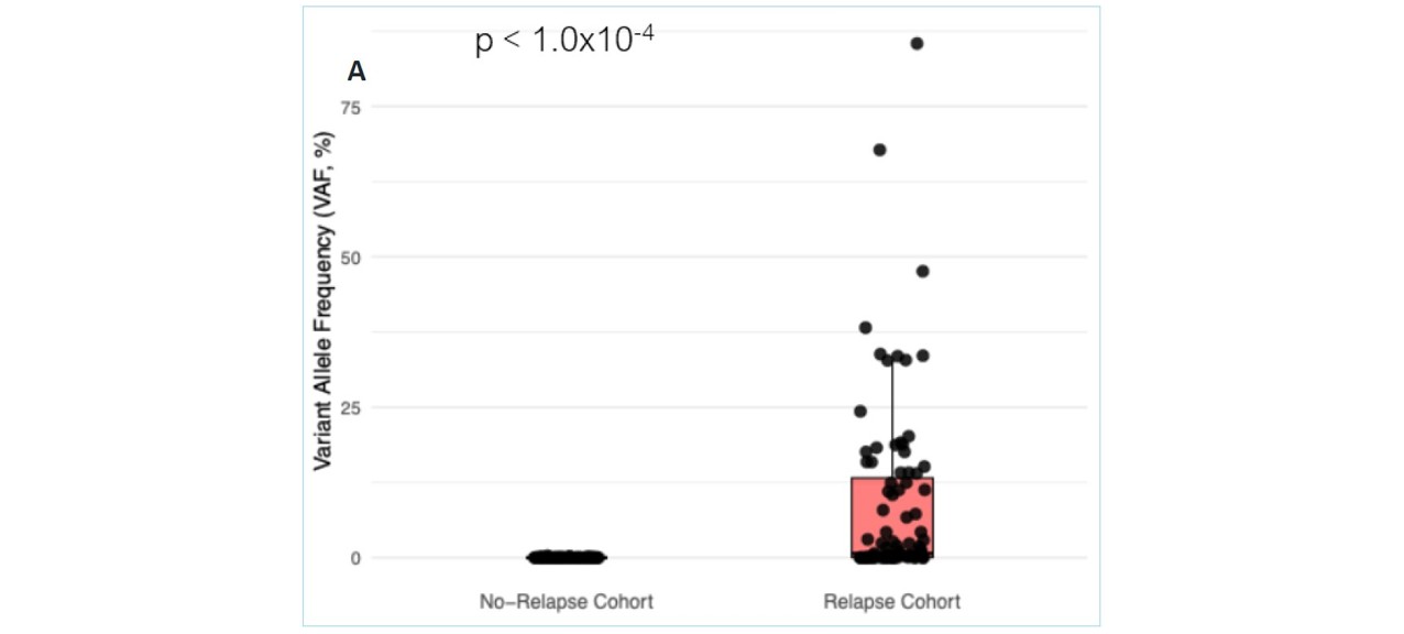 <b>Figure 2a.</b> Boxplot showing variant allele frequencies (VAFs, %) detected in bone marrow specimens from the no-relapse and relapse cohorts across all post–alloHCT time points (Mann–Whitney test, p < 1.0 × 10⁻⁴).