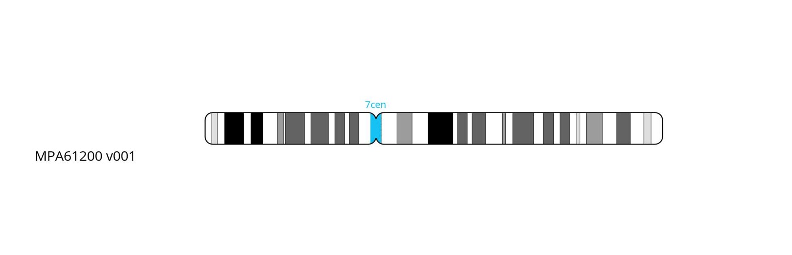 Fluorescence in situ hybridisation (FISH) chromosome map showing a probe targeting the centromere region on chromosome 7.