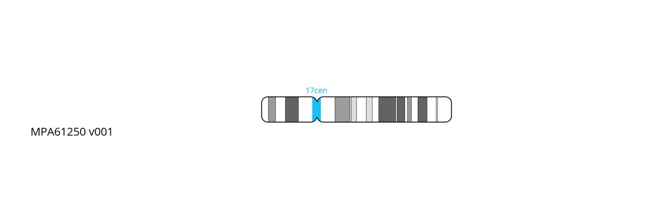 Fluorescence in situ hybridisation (FISH) chromosome map showing a probe targeting the centromere region on chromosome 17.