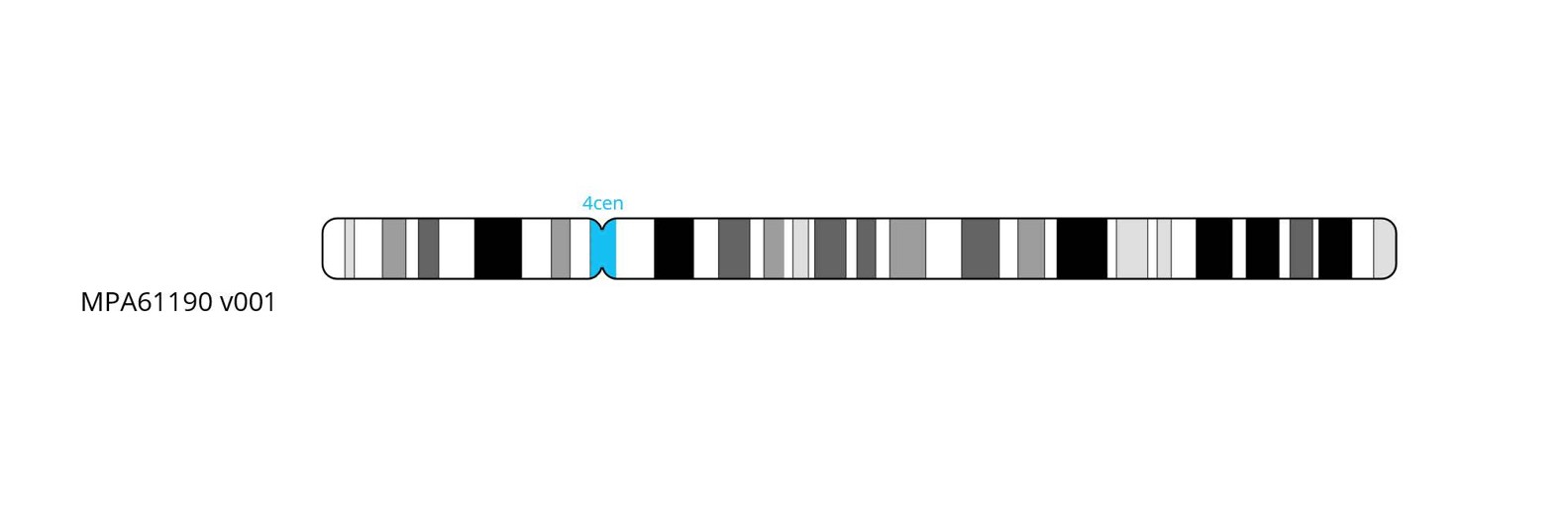 Fluorescence in situ hybridisation (FISH) chromosome map showing a probe targeting the centromere region on chromosome 4.
