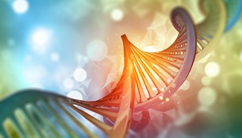 Visual Representation Of DNA Strand