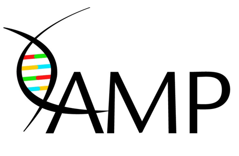 AMP 2025 Annual Meeting & Expo Image