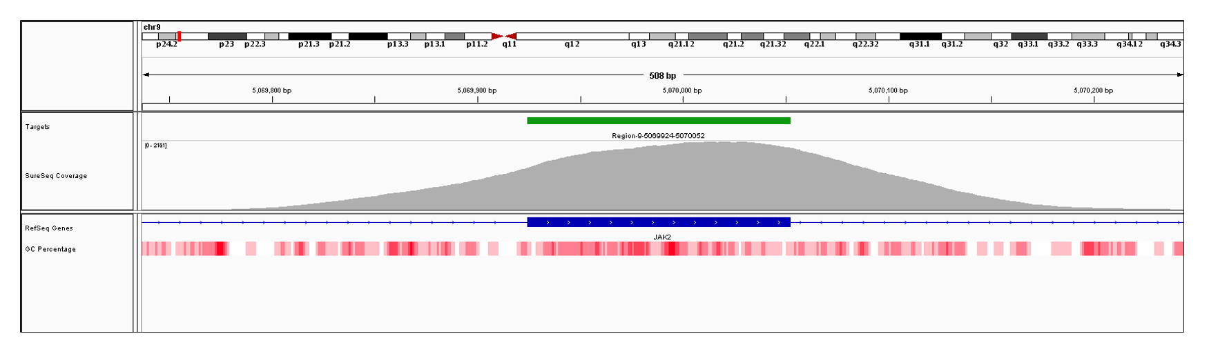 JAK2 Exon 12 (hg19 chr9:5069925-5070052). Depth of coverage per base (grey). Targeted region (green). Gene coding region as defined by RefSeq (blue). GC percentage (red). Image