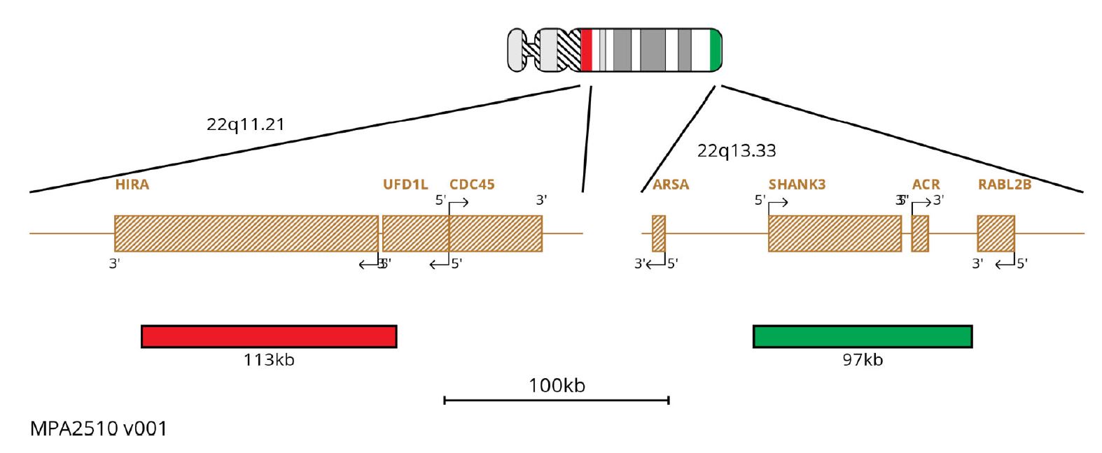 MPA2510 TUPLE1(HIRA) SHANK3 FAST Deletion FISH Probe Chromosome Map
