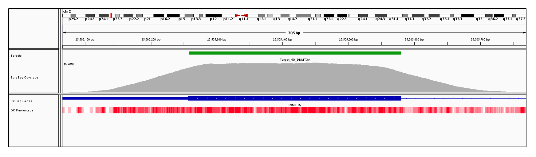 DNMT3A Exon 4 (hg19 chr2:25505310-25505580). Depth of coverage per base (grey). Targeted region (green). Gene coding region as defined by RefSeq (blue). GC percentage (red). Image
