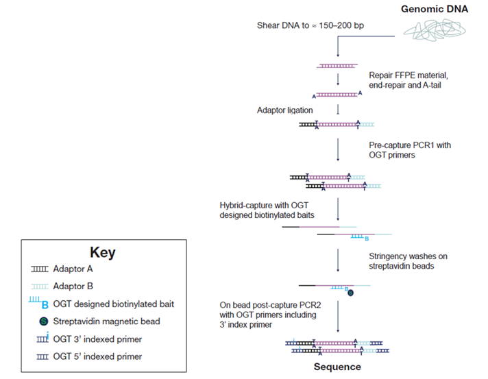 Figure 5: OGT SureSeq workflow