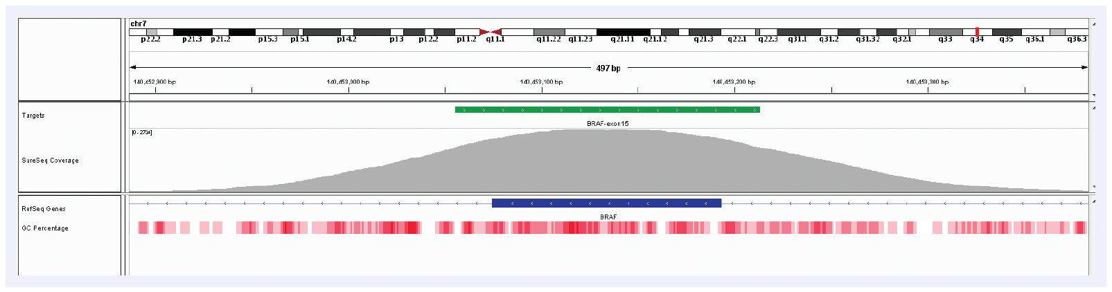 Figure 3: Illustration of the excellent uniformity of coverage of BRAF exon 15. Depth of coverage per base (grey). Targeted region (green). Gene coding region as defined by RefSeq (blue). GC percentage (red).