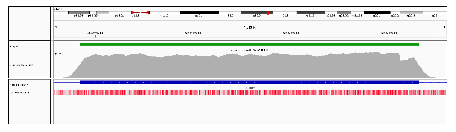 SETBP1 Exon 4 (hg19 chr18:42529846-42533305). Depth of coverage per base (grey). Targeted region (green). Gene coding region as defined by RefSeq (blue). GC percentage (red). Image