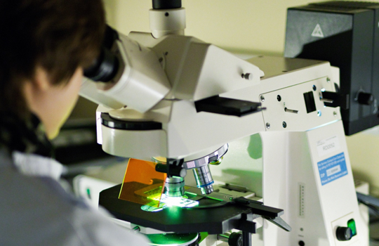 Helping you to reach the right decisions for each patient Image