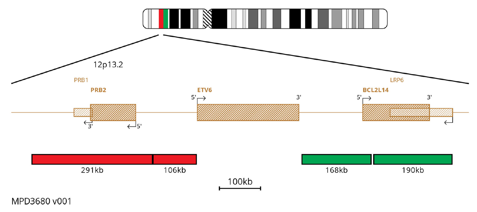 MPD3680 ETV6 Breakapart FISH Probe Chromosome Map