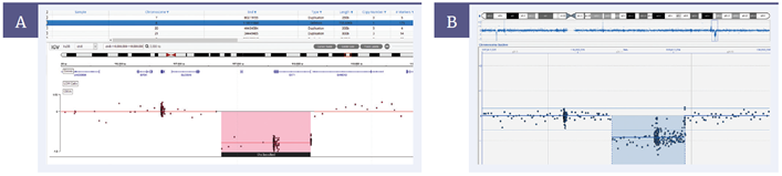 Figure 3: 753kb deletion detected on chromosome 8