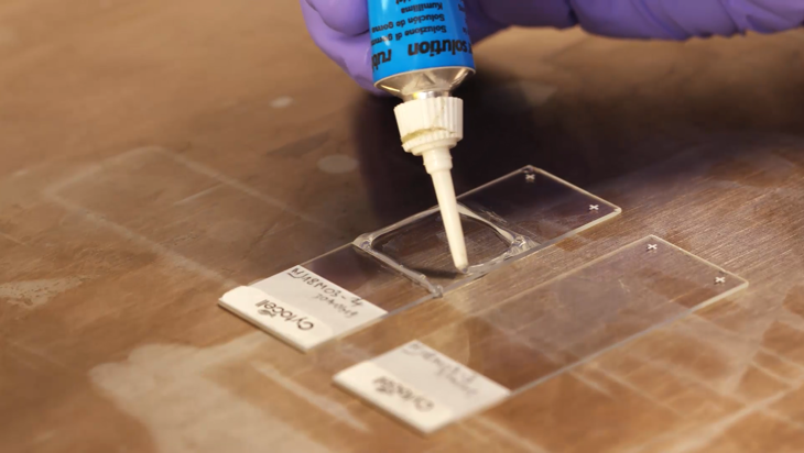 CytoCell solid tumour FFPE FISH protocol - Probe application (2 minutes) Image