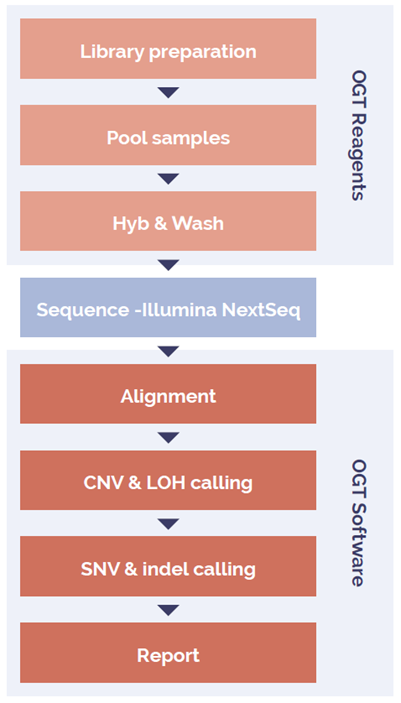 Overview of the laboratory and data analysis workflow