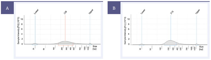 Figure 2: High quality genomic DNA fragmented