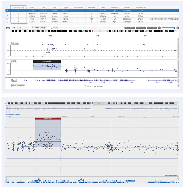 586kb duplication on chromosome 1