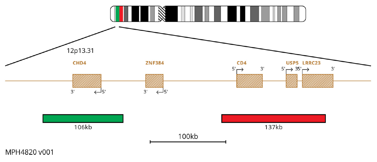 MPH4820 ZNF384 Breakapart FISH Probe Chromosome Map