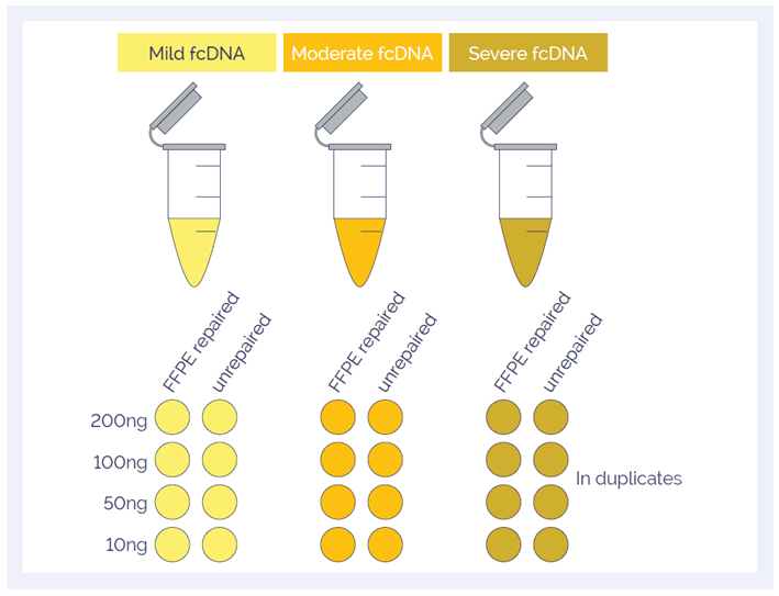 Figure 1: A total of 48 samples were investigated to study the effect of DNA quality, input amount and DNA repair.
