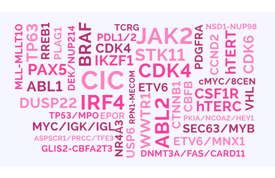 Researching a novel biomarker or just need an adjustment to an existing CytoCell FISH probe? Image