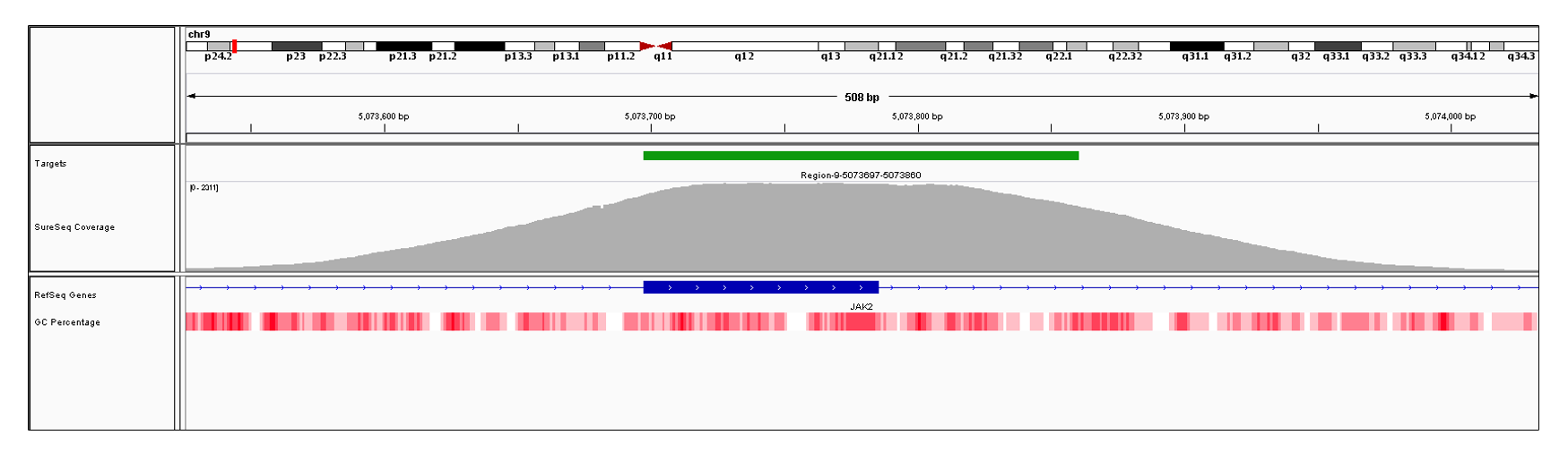 JAK2 Exon 14 (hg19 chr9:5073698-5073785). Depth of coverage per base (grey). Targeted region (green). Gene coding region as defined by RefSeq (blue). GC percentage (red). Image