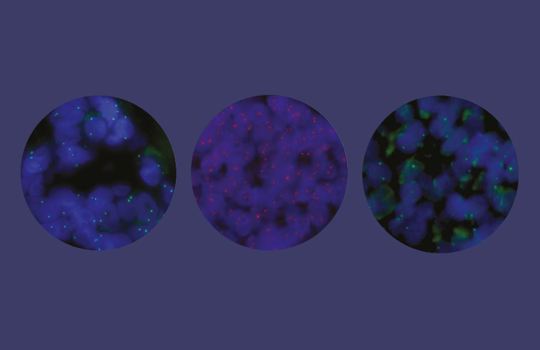 Quick! Our evaluation offer ends May 31 Image