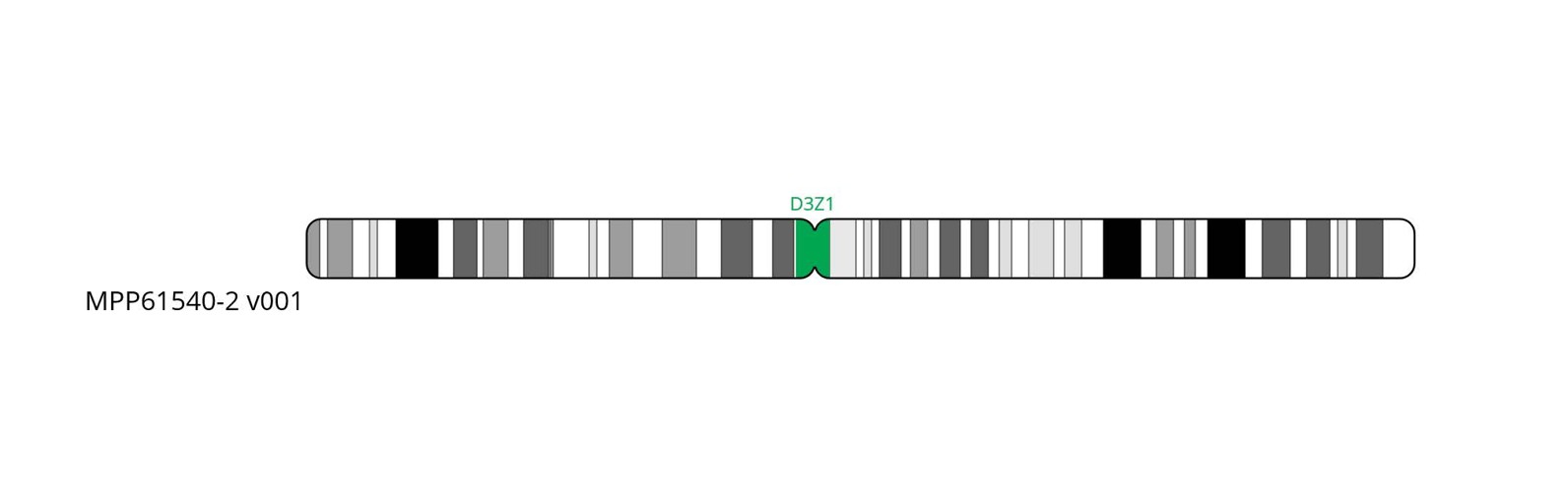 Fluorescence in situ hybridisation (FISH) chromosome map showing a probe targeting the centromere region on chromosome 3.