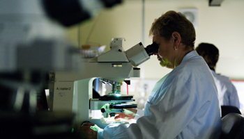 FISH Scientist & Microscope V2