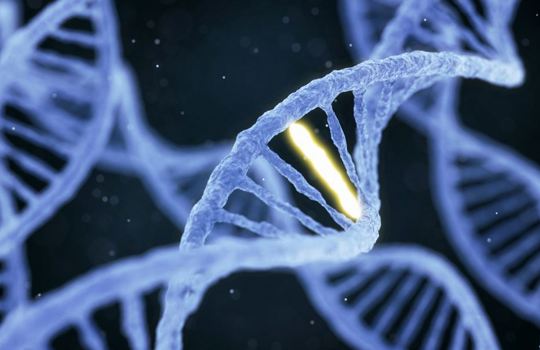 Is NGS set to become the new gold standard in constitutional genetics? Image