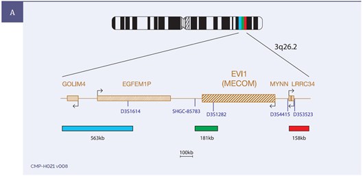 Figure 1. Example of the results obtained for USA-LPH 036: EVI1 (MECOM)