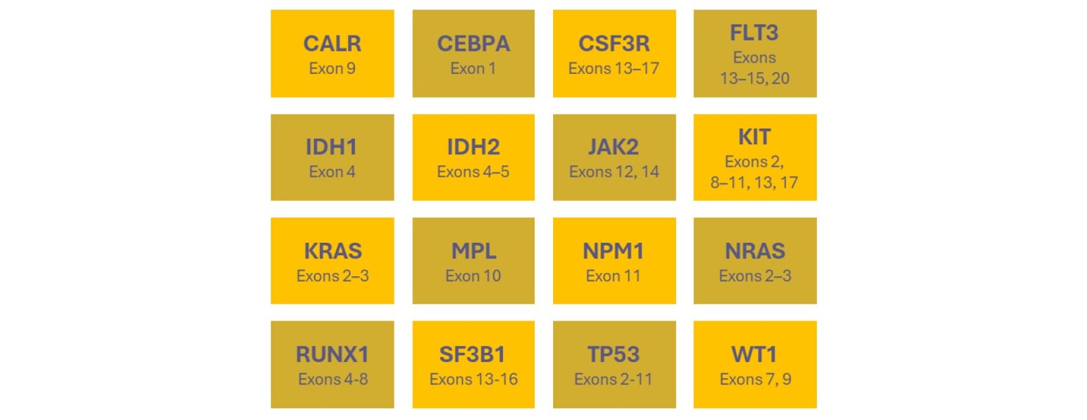 <b>Table 1:</b> The SureSeq Myeloid MRD Panel targets SNVs, indels and FLT3-ITDs in 16 genes key AML-associated biomarkers