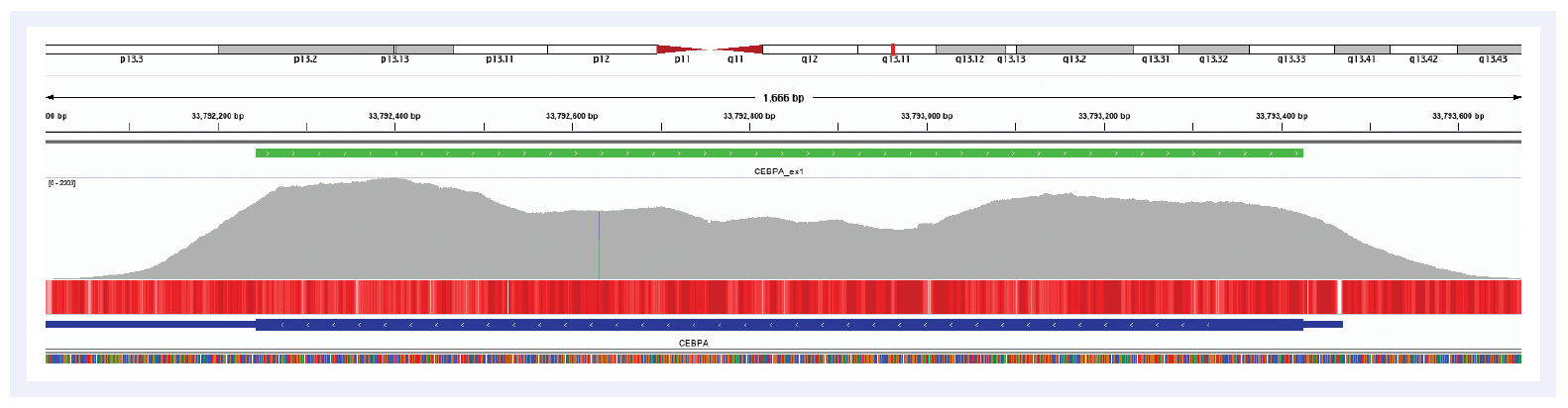 Figure 1: Illustration of the excellent coverage uniformity of the CEBPA gene. Depth of coverage per base (grey). Targeted region (green). Gene coding region as defined by RefSeq (blue). GC percentage (red).