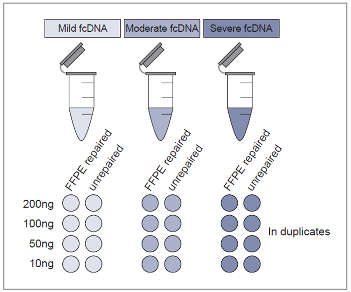 Figure 1: Experimental design. A total of 48 samples were sequenced to study the effect of DNA quality, input amount and DNA repair.