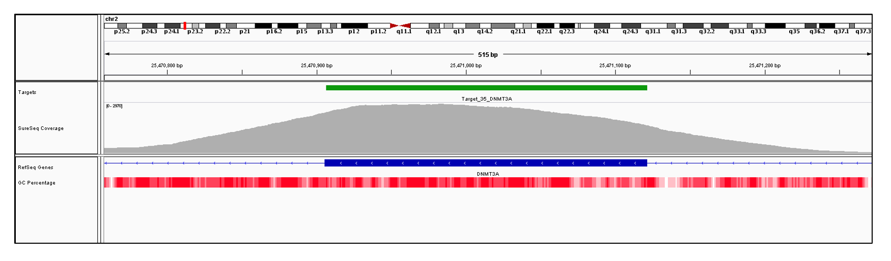 DNMT3A Exon 7 (hg19 chr2:25470906-25471121). Depth of coverage per base (grey). Targeted region (green). Gene coding region as defined by RefSeq (blue). GC percentage (red). Image