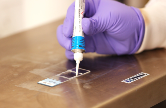 Helping you get FISH right at the probe application step Image