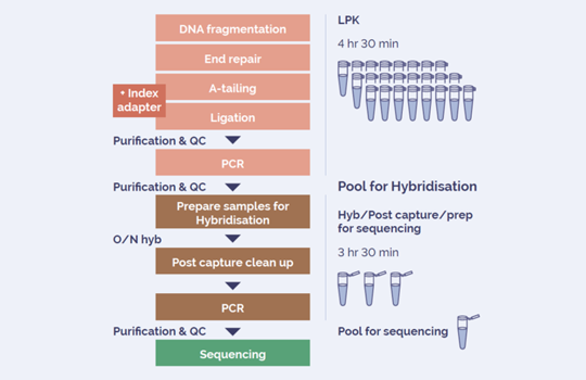 A complete library prep solution for unparallelled NGS results Image