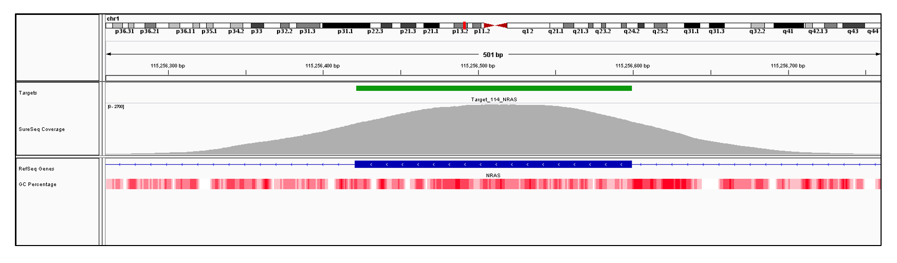 NRAS Exon 3 (hg19 chr1:115256421-115256599). Depth of coverage per base (grey). Targeted region (green). Gene coding region as defined by RefSeq (blue). GC percentage (red).  Image