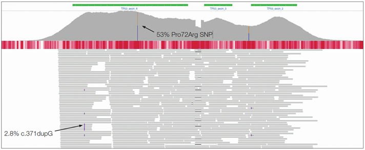 Figure 4: This sample (DIN score 3.0) was found to have a single base insertion.