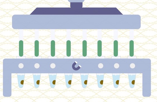 Helping you get NGS right at the pre-capture PCR step Image