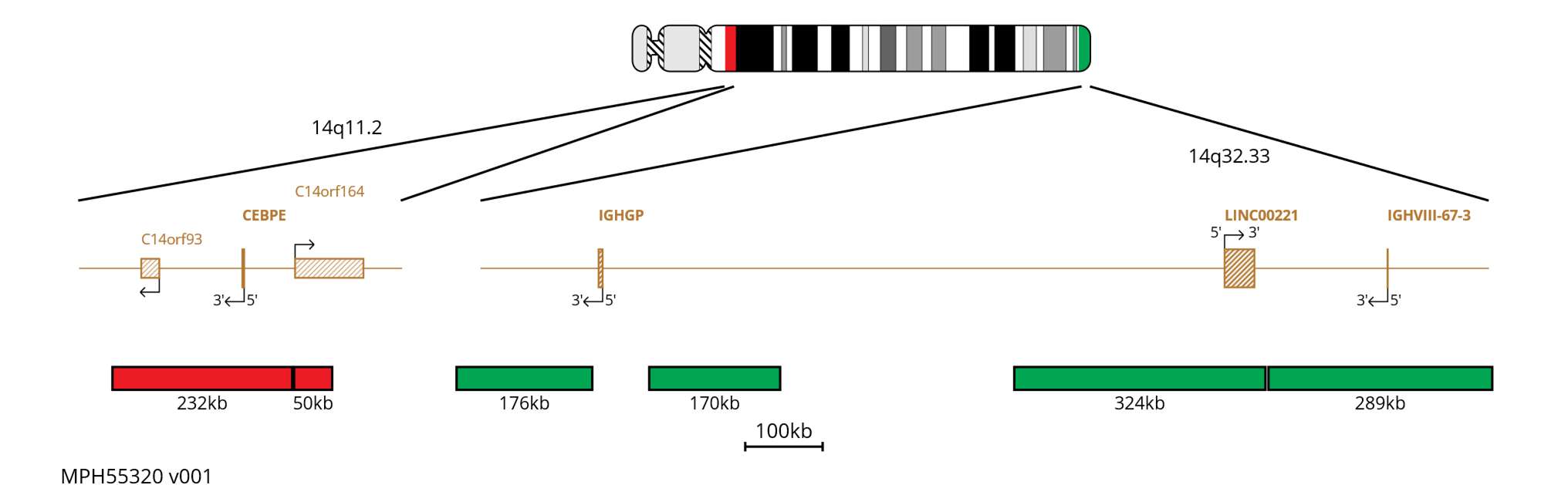 Fluorescence in situ hybridisation (FISH) chromosome map showing probes targeting the IGH region and CEBPE gene.
