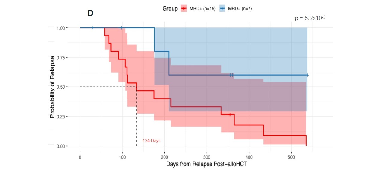 <b>Figure 1d.</b> Kaplan–Meier analysis of relapse probability following alloHCT stratified by MRD status using a VAF threshold of >0.1% at the post-induction, pre–alloHCT time point. MRD+ patients had at least one tumor-informed variant detected with VAF >0.1% (n = 15), whereas MRD− patients had no variants detected above this threshold (n = 7) (log-rank p = 0.052).