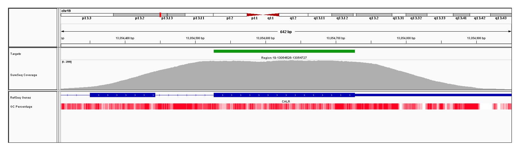CALR Exon 9 (hg19 chr19:13054527-13055304). Depth of coverage per base (grey). Targeted region (green). Gene coding region as defined by RefSeq (blue). GC percentage (red). Image