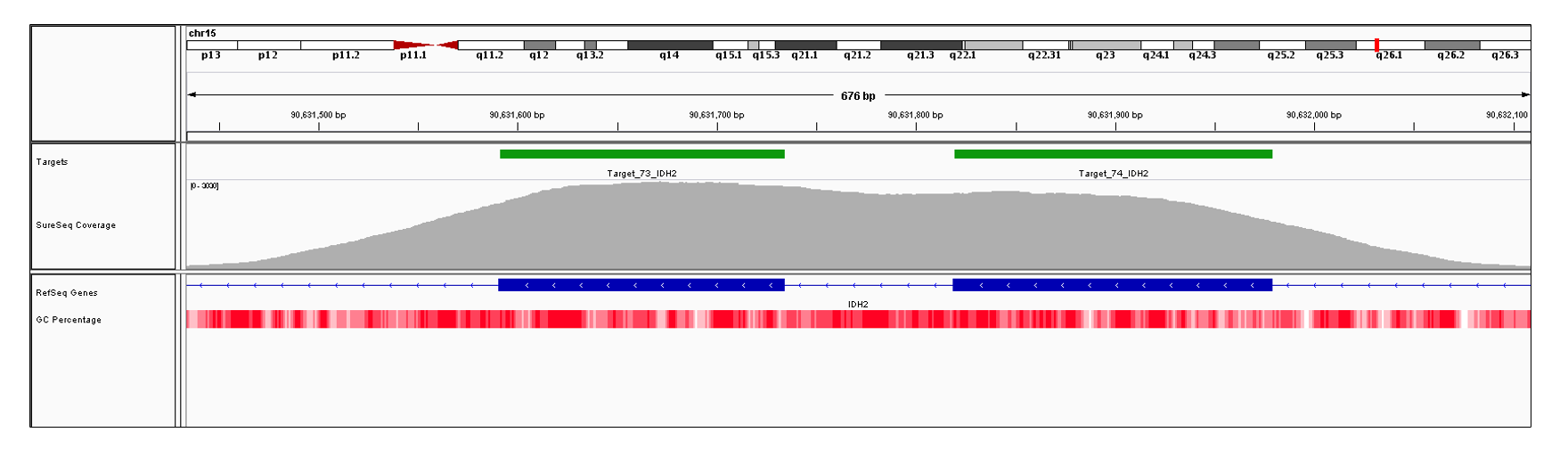 IDH2 Exons 4 (hg19 chr15:90631819-90631979) and 5 (hg19 chr15:90631591-90631734). Depth of coverage per base (grey). Targeted region (green). Gene coding region as defined by RefSeq (blue). GC percentage (red). Image